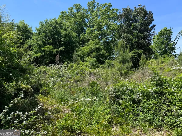 4630 Highway 17, Eastanollee, GA 30538