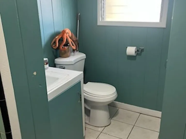 158A Makawao St #B — Photo 17
