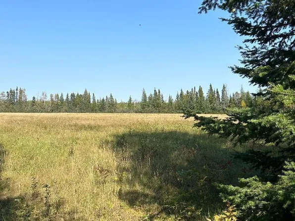 Wilen Rd, Embarrass, MN 55732