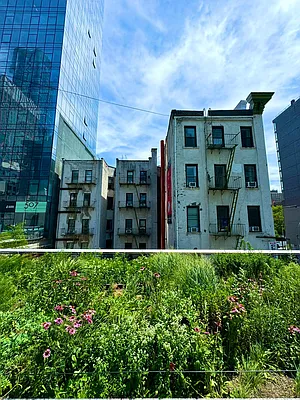 Rented by Oxford Property Group | media 71