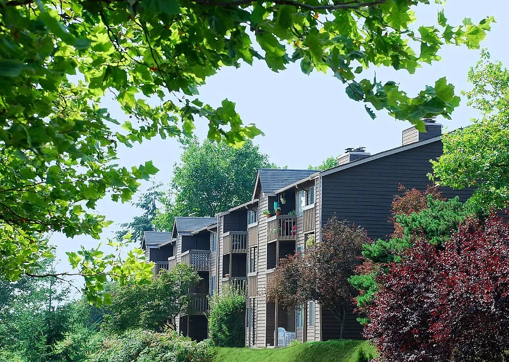 Bella Vista — Photo 1