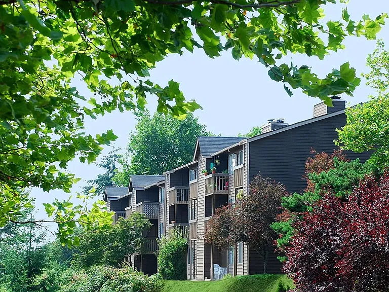 Bella Vista — Photo 1
