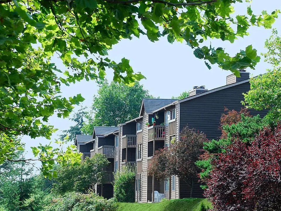 Bella Vista