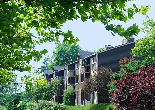 Bella Vista Photo 1