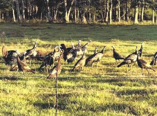 28141 New Hope Church Rd, Robertsdale, AL 36567