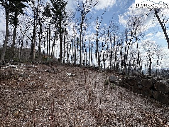 5th image of TBD Angelfire Trail