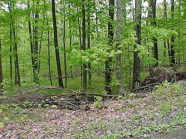 2nd image of 391 Browns Pond Rd #1