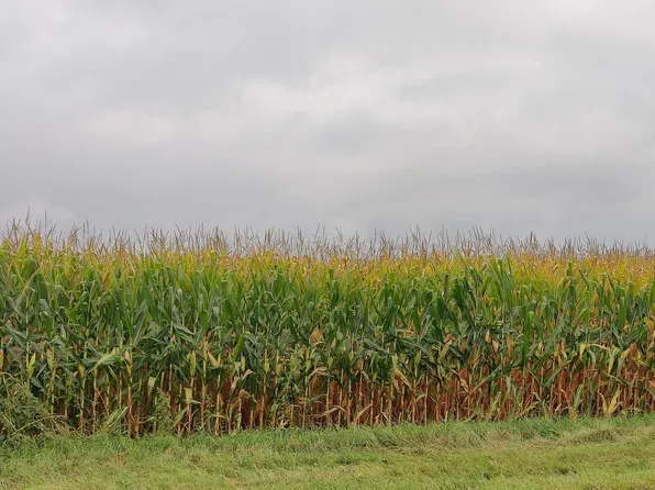 Lt0 FOSTER ROAD, Elkhorn, WI 53121