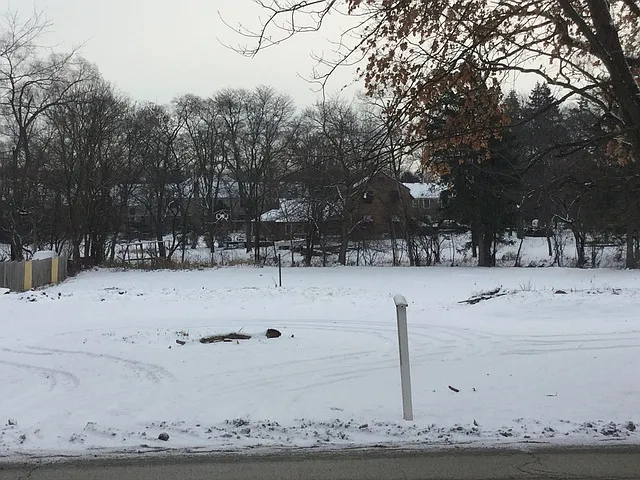 7875 Wolf Rd photo 1