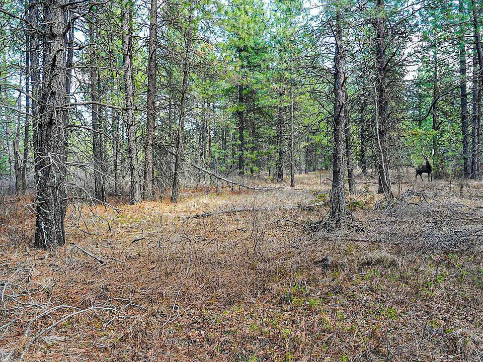 1st image of E Slaton Rd