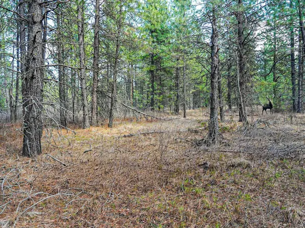 E Slaton Rd, Deer Park, WA 99006