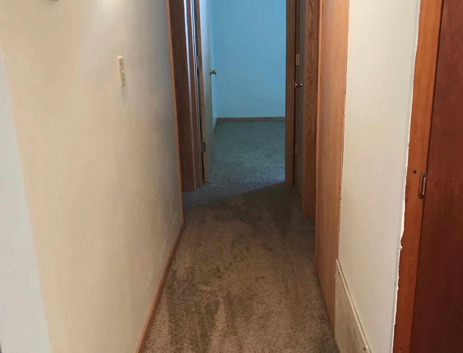 1 bed, $750 — Photo 3