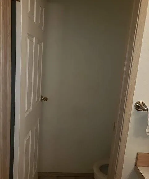 Master Bathroom (Separate room for Toilet)