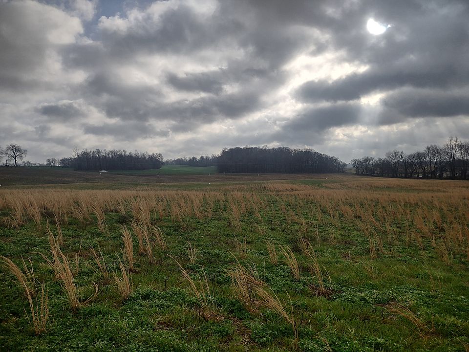 2nd image of 10 Highway 161