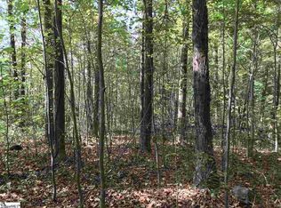 5 Big Pine Rock Way, Landrum, SC 29356