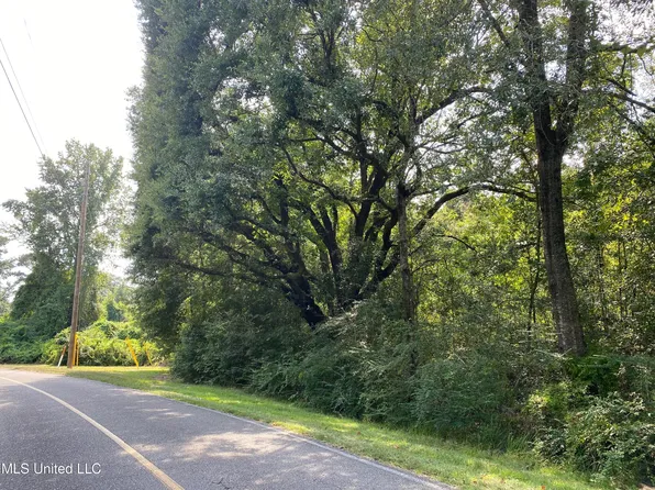 223 E Sunnybrook Rd Lot 1318, Carriere, MS 39426