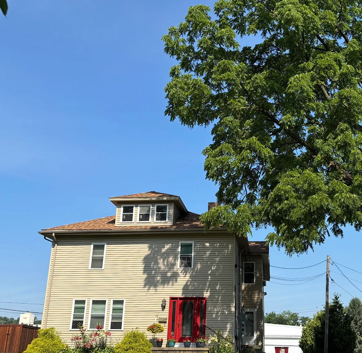 1 bed, 800 sqft, $985 — Photo 1