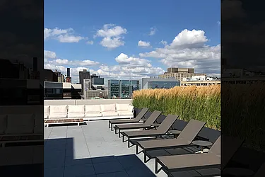 Rented by Sieber International