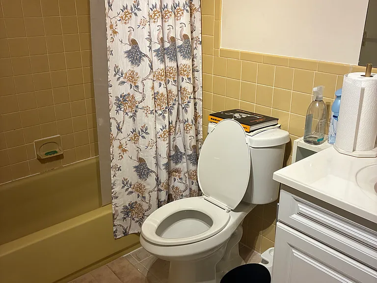 Upstairs Bathroom