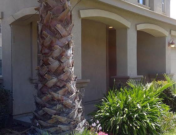 2nd image of 1919 Pyramid Creek Dr