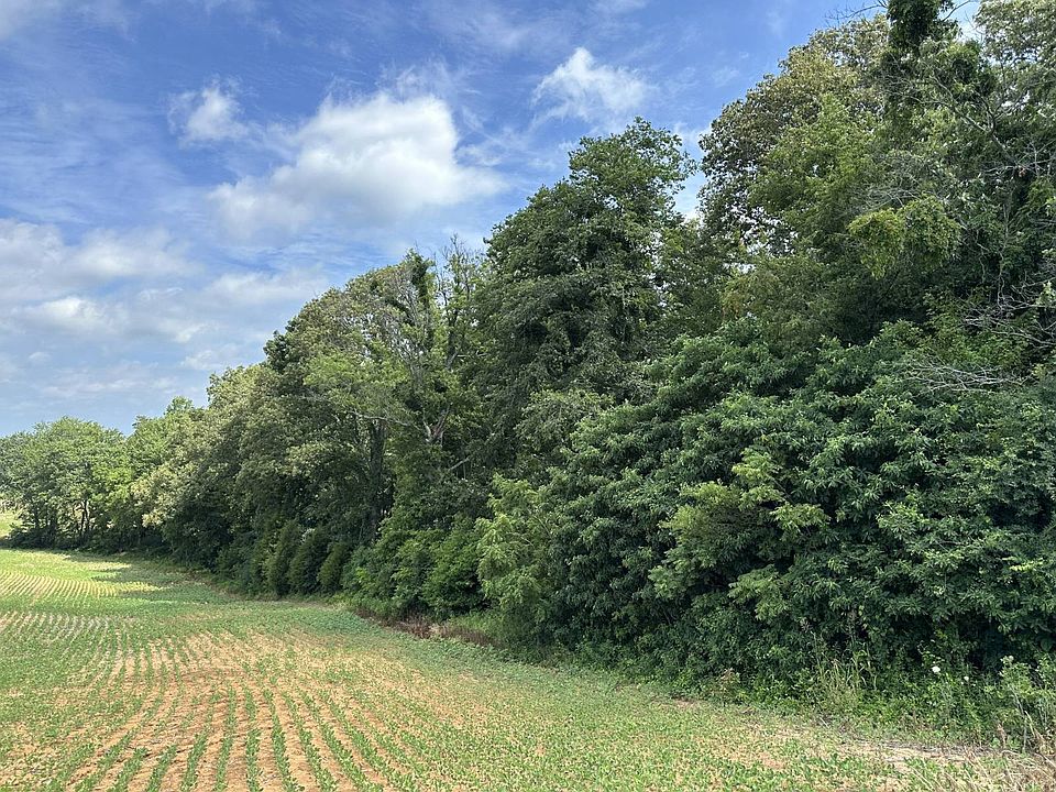 2nd image of 2055 Browns Valley Red Hill Rd