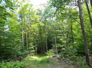 0 Thomas Rd, Chemung, NY 14825