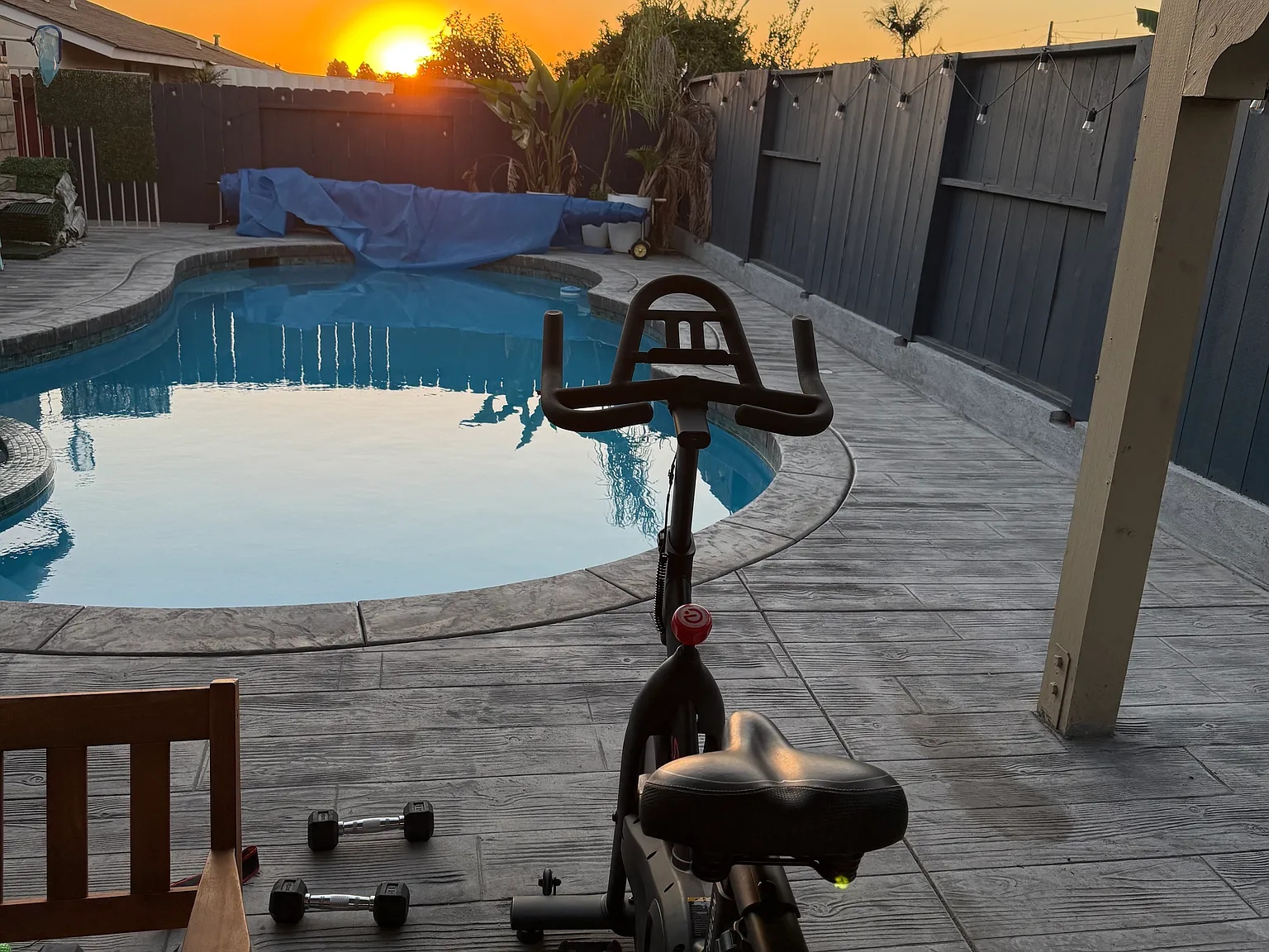 2 bed, 1000 sqft, $3,100 — Photo 3