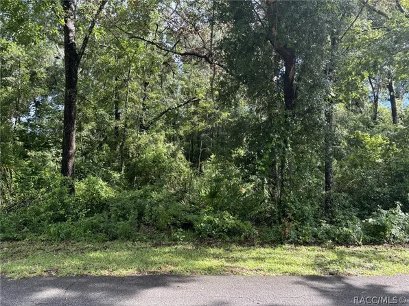 2604 W Laureen St, Lecanto, FL 34461