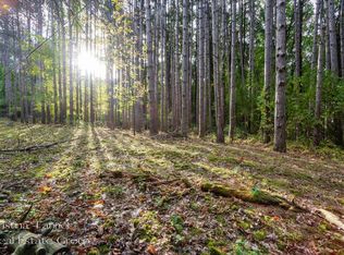 7351 Leonard St NE, Ada, MI 49301