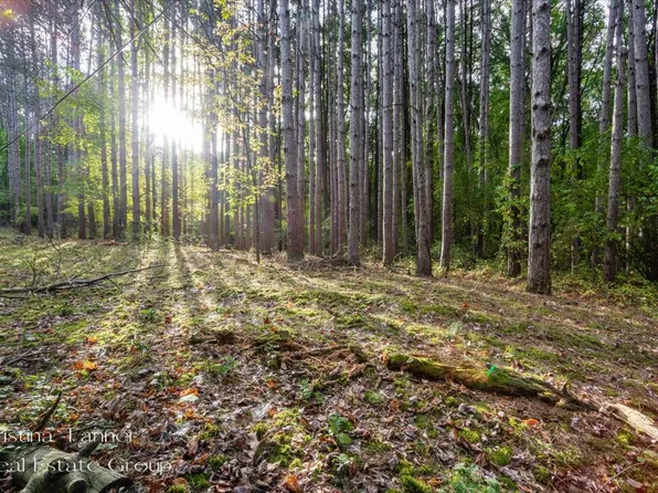 7351 Leonard St NE, Ada, MI 49301