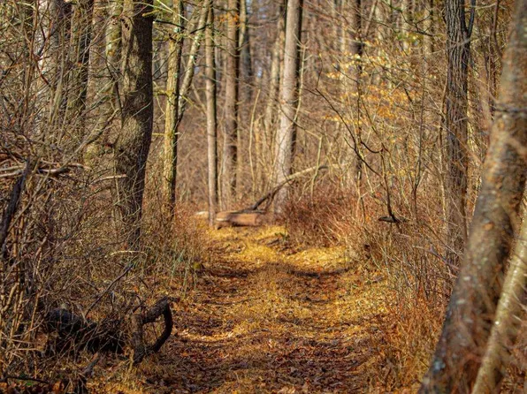 Quirauk School Rd, Sabillasville, MD 21780