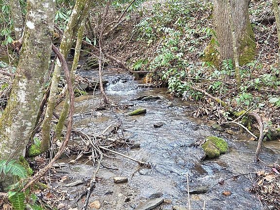 5th image of 0 Laurel Branch Rd