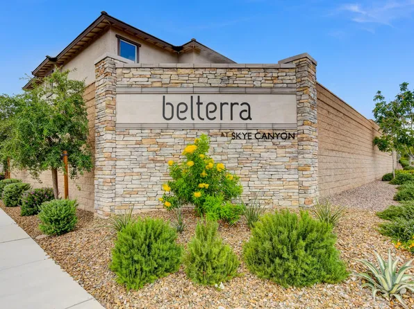 8883 Roadrunner Ravine St, Las Vegas, NV 89166