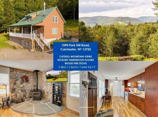 1090 Park Hill Rd, Downsville, NY 13755