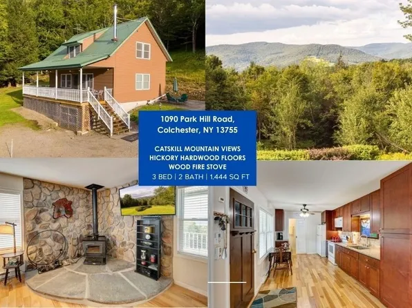1090 Park Hill Rd, Downsville, NY 13755