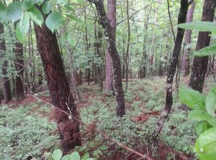 324 Shores Camp Rd, Adger, AL 35006