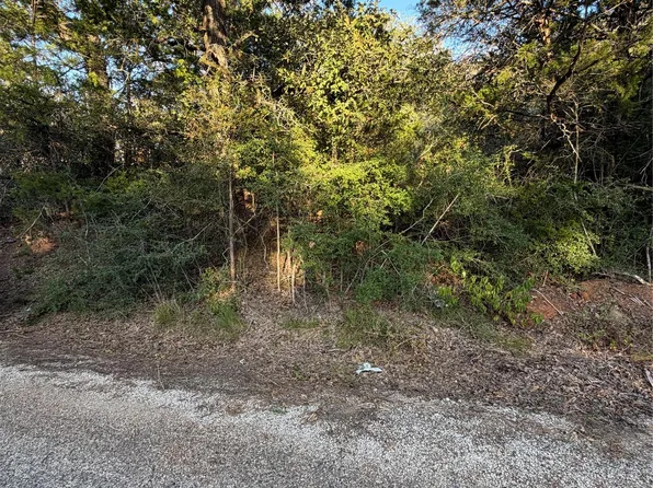 LOT 194 Kaelepulu Dr, Bastrop, TX 78602