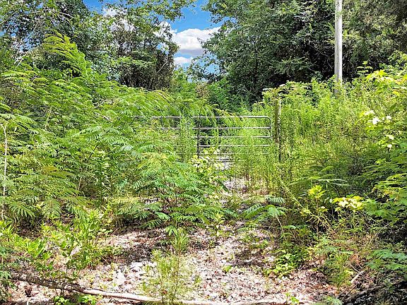 5th image of 26600 W Limestone School Rd