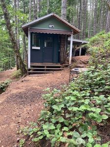 1910 N Dow Mountain Road, Hoodsport, WA, 98548