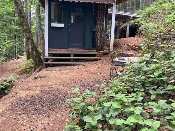 1910 N Dow Mountain Road, Hoodsport, WA 98548