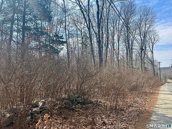 5th image of Reilly Road