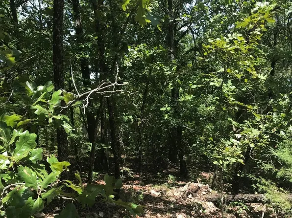 LOT 48 Byhalia Trl, Ash Flat, AR 72513