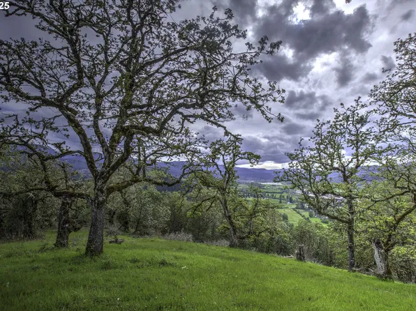 1263 Yokum Rd, Riddle, OR 97469