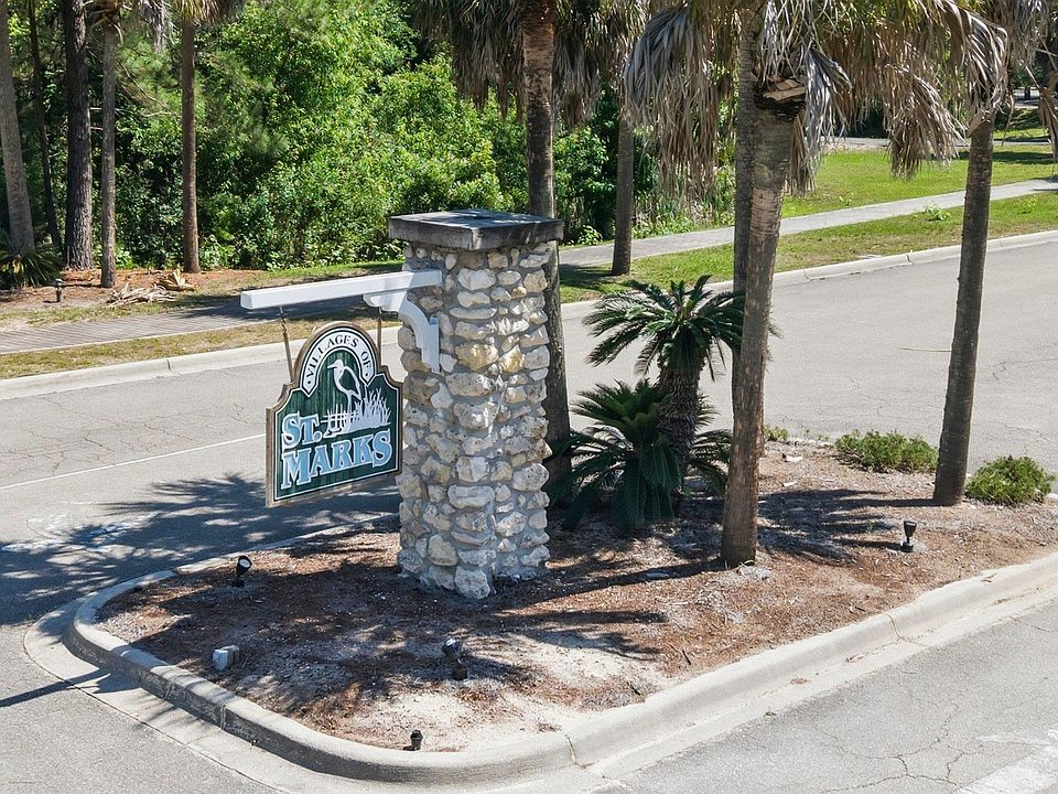 1st image of Xx Cabbage Palm Ct