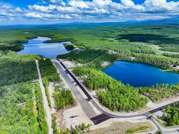 20099 E Caswell Lakes Rd, Talkeetna, AK 99676