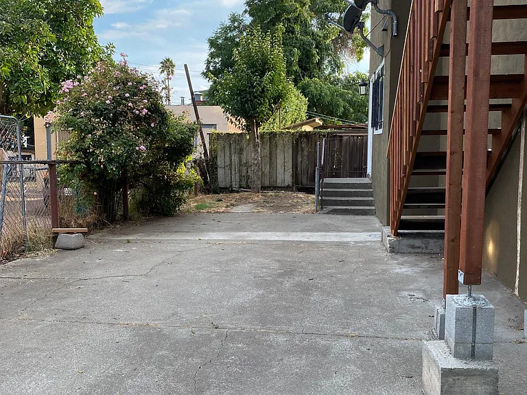 Back yard