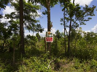 1 Middle Ground Rd TRACT 1, Louisville, GA 30434