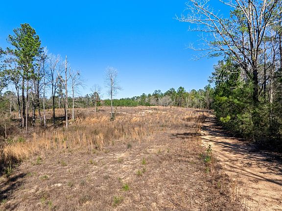 4th image of Boggy Hollow Rd