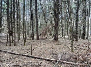 0 Partridge Rd, Northville, NY 12134