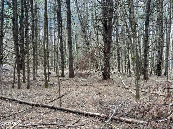 00 Partridge Rd, Northville, NY 12134